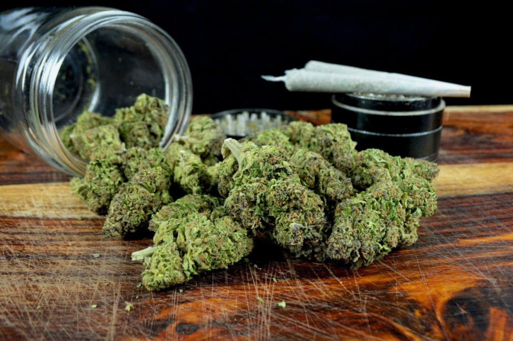 Seedbank-Auswahl genießen und beste Cannabis Samen bestellen